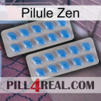 Zen Pill 23